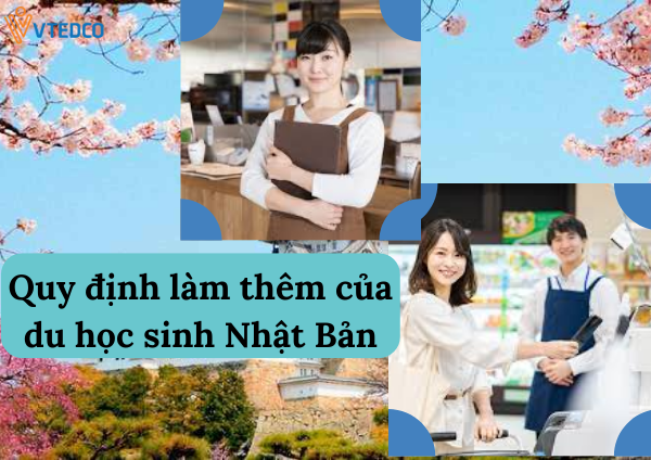 QUY ĐỊNH LÀM THÊM CỦA DU HỌC SINH NHẬT BẢN